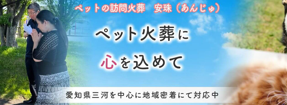 ペット